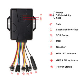 GT 800 - Image 2